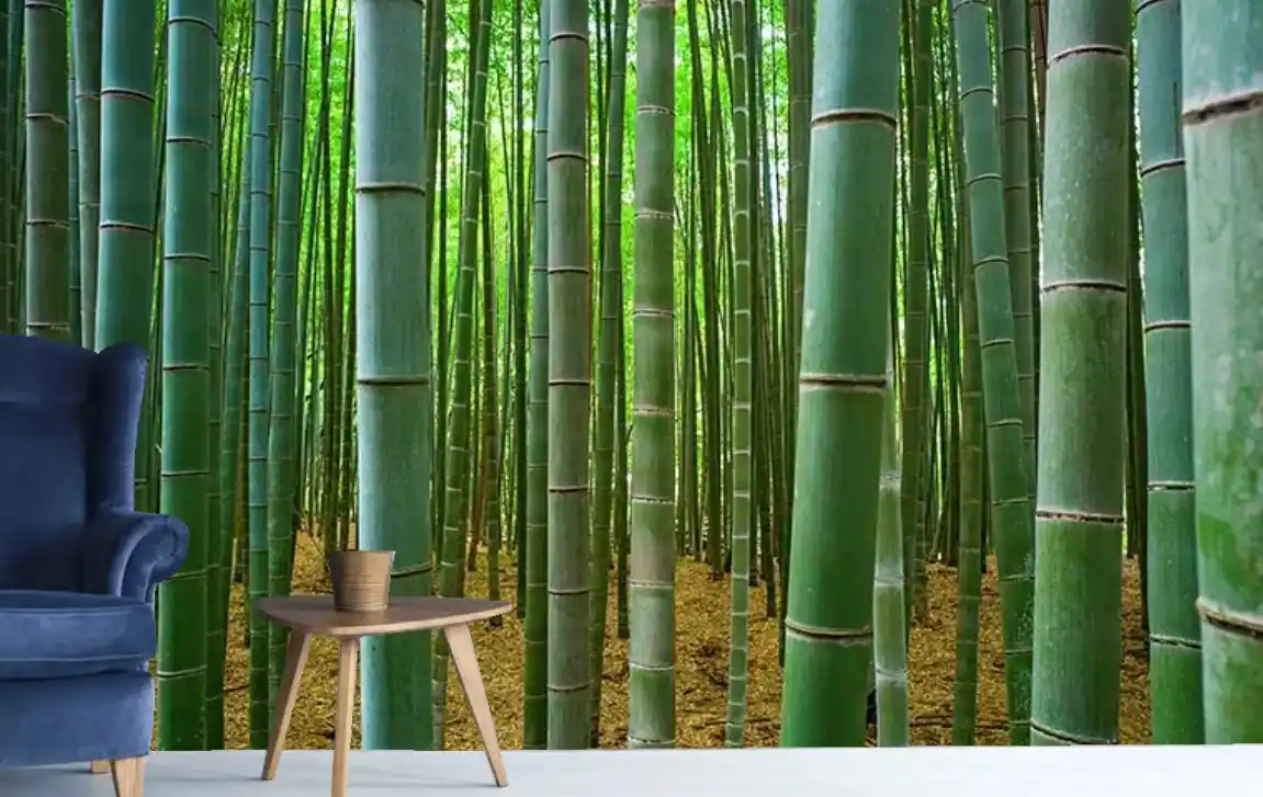 3D Bambu Ağaçları Derinlik Duvar Kağıdı