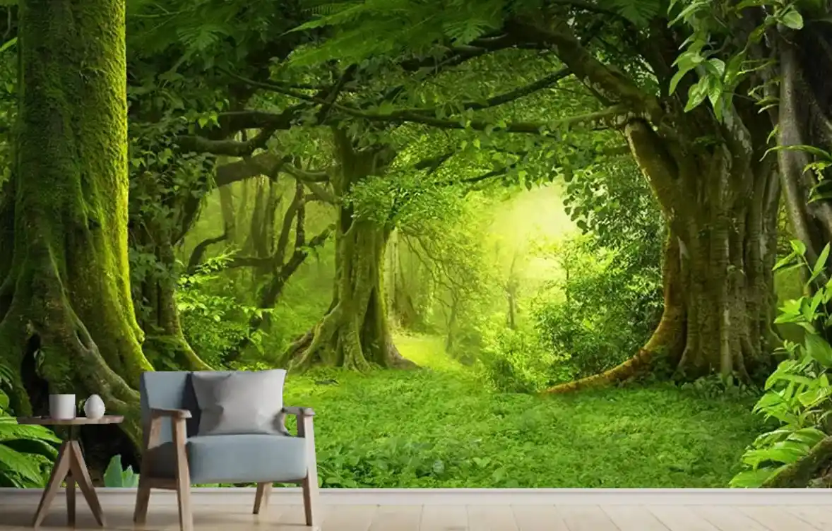 Büyük Ağaçlar Orman Manzaralı Duvar Kağıdı