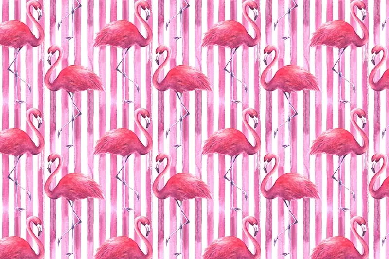 Flamingo Duvar Kağıdı 42