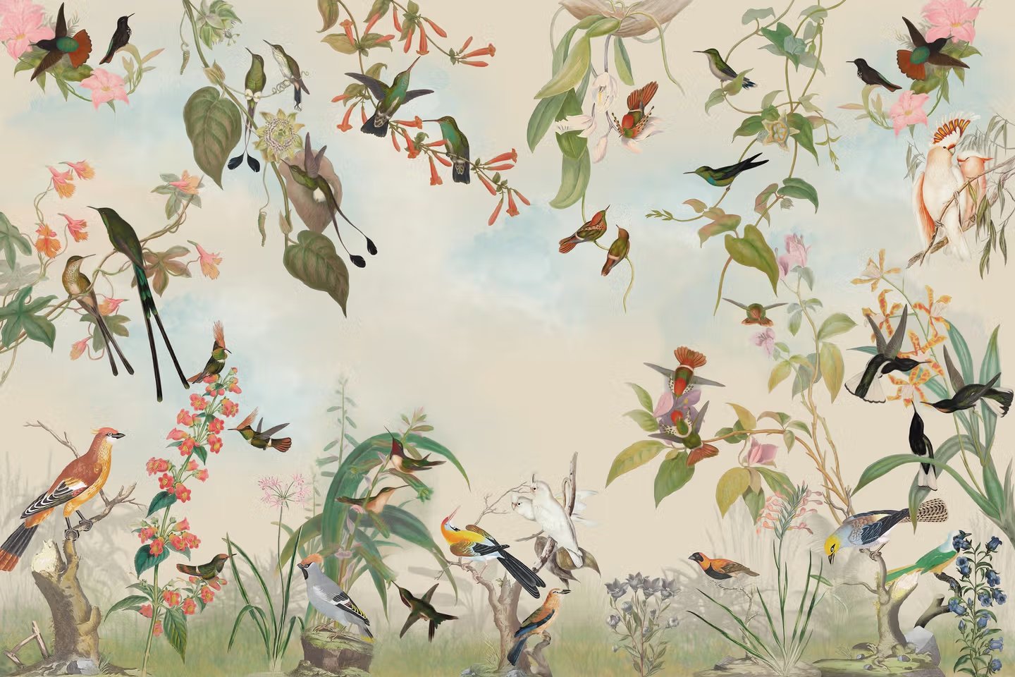 Doğanın Bolluğu Duvar Kağıdı