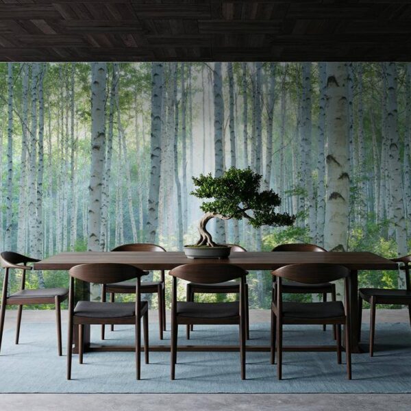 Huzurlu Huş Ormanları Duvar Kağıdı