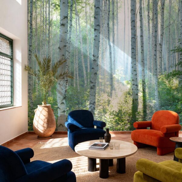 Huzurlu Huş Ormanları Duvar Kağıdı