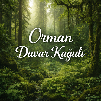 Orman Duvar Kağıdı