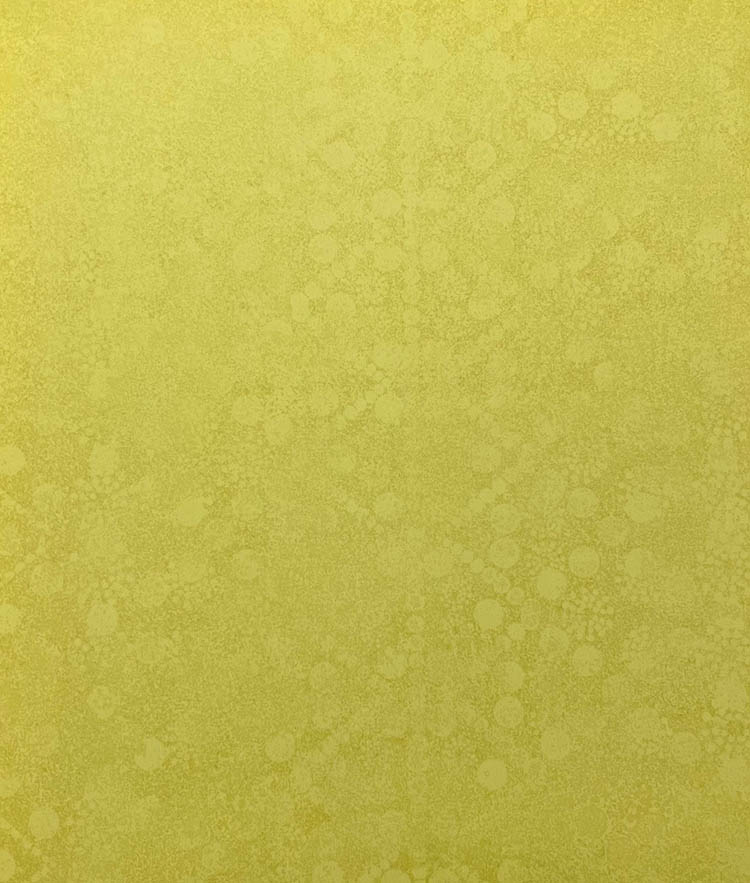 Sari Desenli Duvar Kagidi 3023 12675 1Jpg